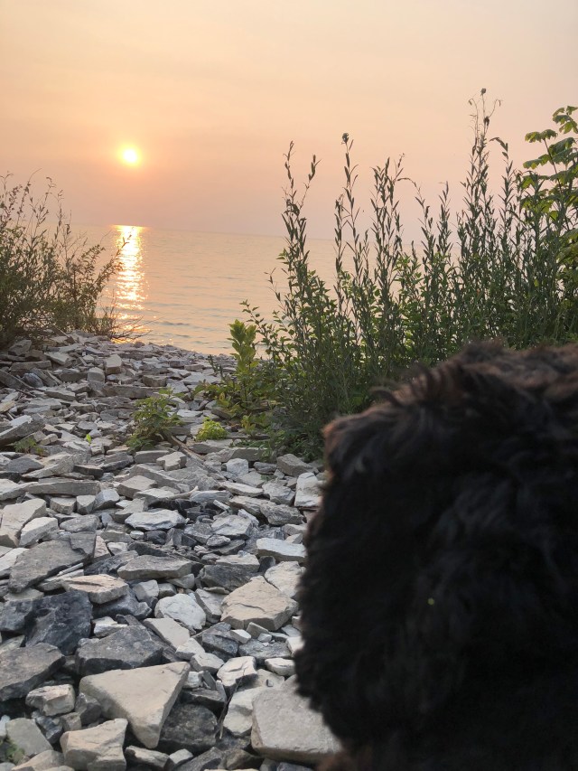 BBKPT9q7TluCo9ciUSNEsw