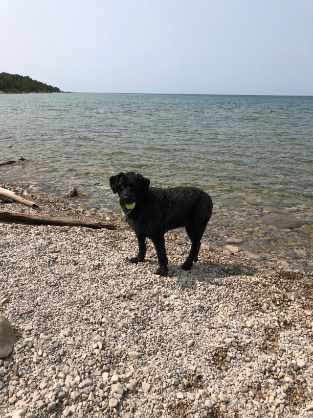 bmOYVEvjRYu54dlErsY4dw