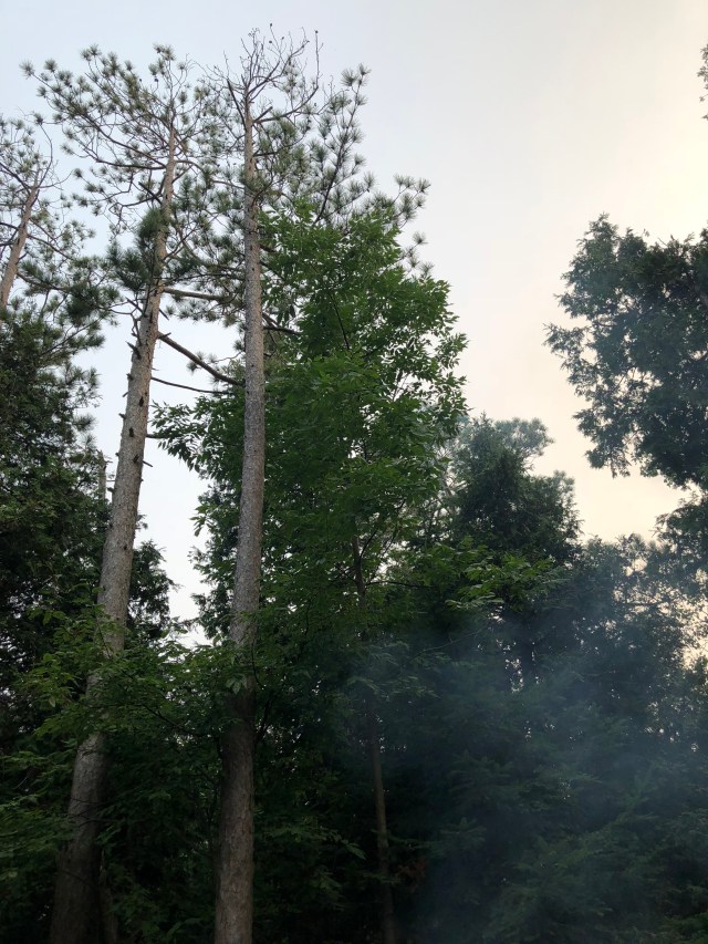 jTjEI4SDTzSa5KPs0cgzGg