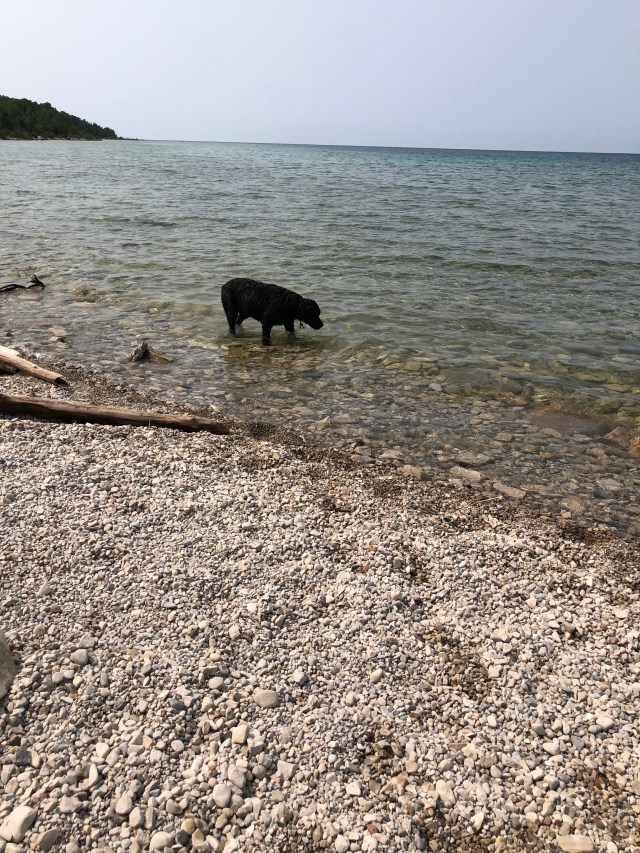 QJ3OHQWdStWx+fA4HAf57Q