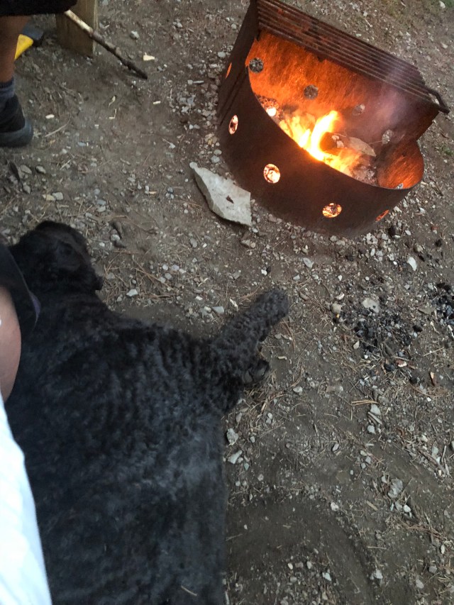 vLs4T%bxRDKZj3bq+IDhQg