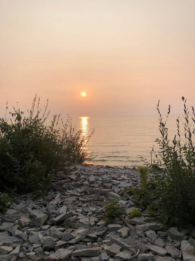 wVthMV+rSMqnunYzl%lUsg