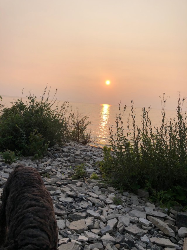 yzvTbP8CSpSYnZzuVY8Leg